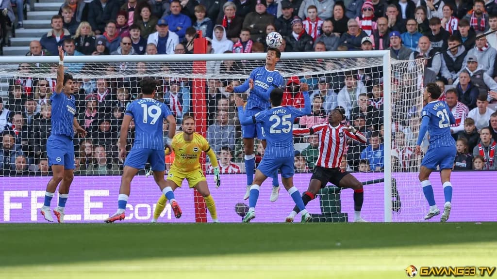 Brighton trước cuộc đối đầu Brighton - Kauno Žalgiris